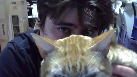 Snapshot of idkwhattowatch chatting on 24, 12, 2024 idkwhattowatch online show from 24, 12, 2024