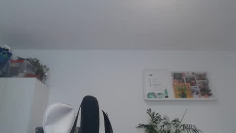 ner d online show from 21, 2, 2025