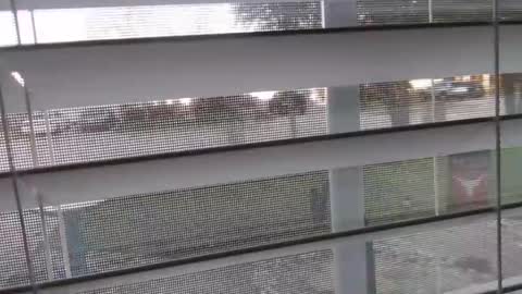 Michael online show from 1, 1, 2025