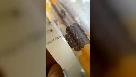 ikaikagora00 online show from 5, 3, 2026