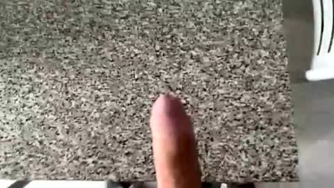 ilconte81 online show from 10, 3, 2026