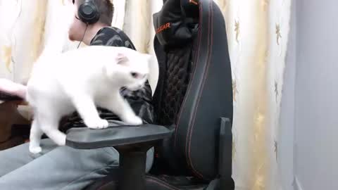 lord online show from 7, 11, 2025