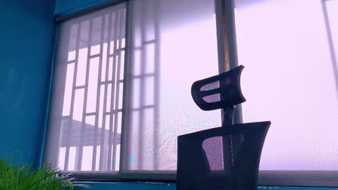 Tavo online show from 24, 2, 2026