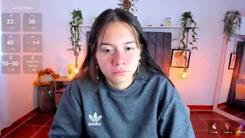 im_tulipan online show from 24, 7, 2026