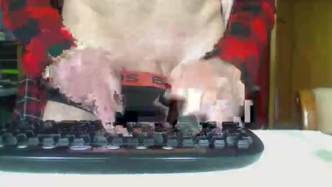 Aussie Guy online show from 21, 10, 2025