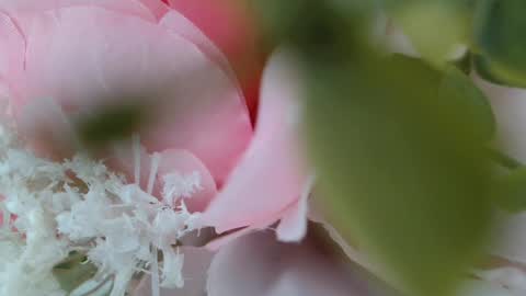 Carrie online show from 22, 2, 2025