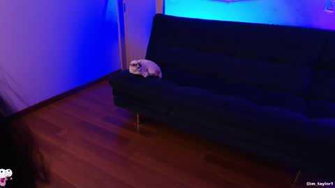 TAYLOR  online show from 24, 10, 2025