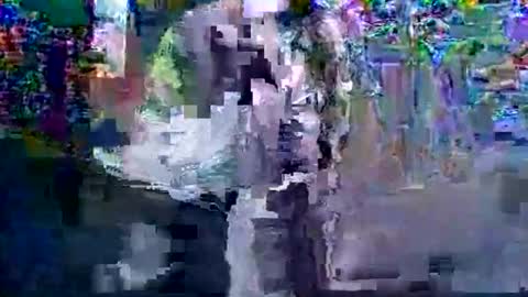 in201943 online show from 6, 3, 2026