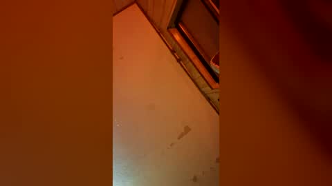 indegeniouscreature online show from 3, 7, 2026