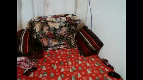 Candy cat online show from 11, 1, 2025