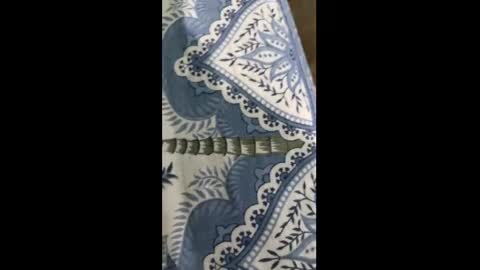 Indian desi6969 online show from 30, 3, 2026