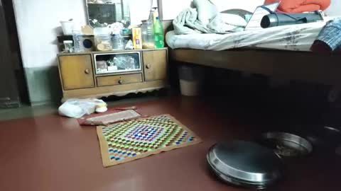 BOREDILDO online show from 12, 3, 2026