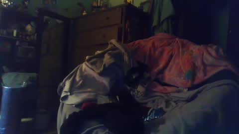 indigo_scorpio online show from 24, 2, 2025