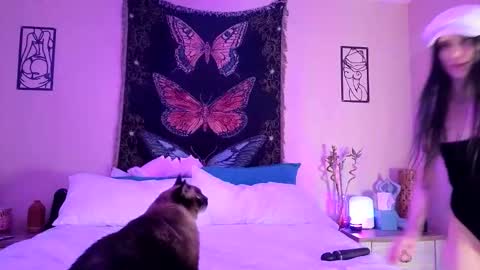 Snapshot of indigobay chatting on 3, 2, 2026 Indigo Bay online show from 3, 2, 2026