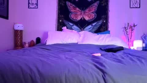 Snapshot of indigobay chatting on 14, 2, 2026 Indigo Bay online show from 14, 2, 2026