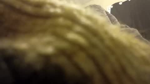 Snapshot of internationalwang chatting on 10, 3, 2025 internationalwang online show from 10, 3, 2025