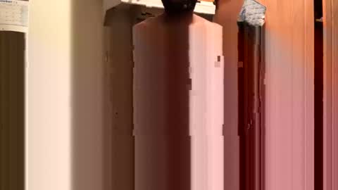 inyourmouthagain online show from 8, 10, 2025