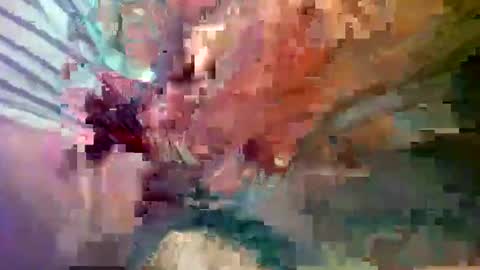 ipuck55 online show from 14, 12, 2024