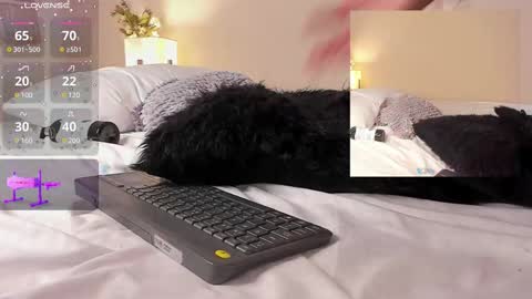 oIssaJonneso online show from 19, 2, 2025