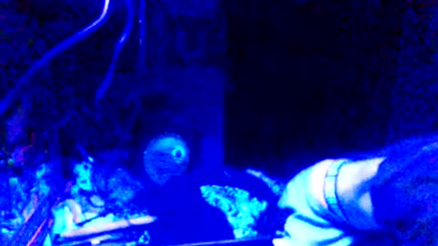 Girlnextdoor online show from 25, 3, 2026