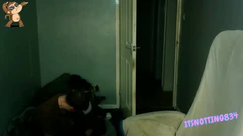    online show from 13, 9, 2025