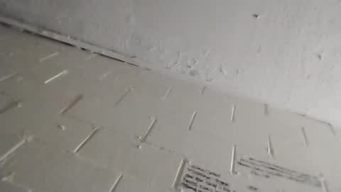 Snapshot of ittybitty0075 chatting on 11, 3, 2026 ittybitty0075 online show from 11, 3, 2026