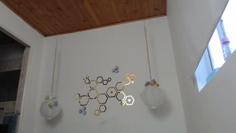 Snapshot of ivana_rose chatting on 2, 3, 2025 Adris online show from 2, 3, 2025