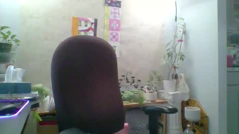 ivyjane3522 online show from 25, 4, 2026