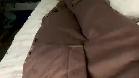 Jaaltar online show from 2, 2, 2026