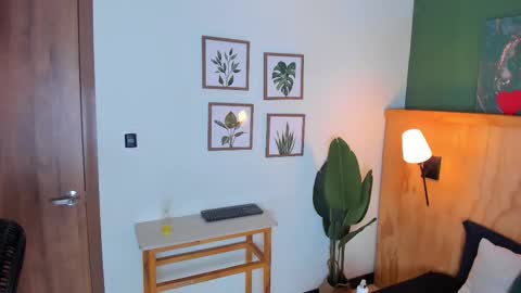 David online show from 2, 10, 2025