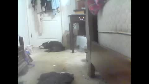 jaburgett1979 online show from 10, 10, 2025