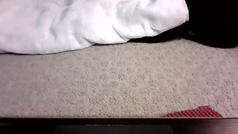 jack_wonder912 online show from 13, 9, 2025