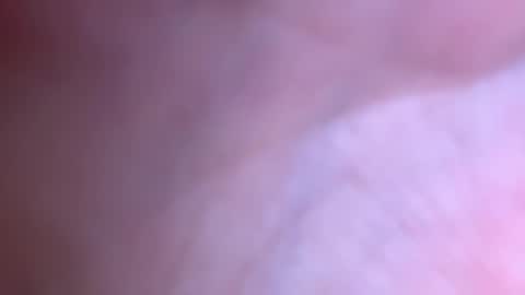 jackjackerman online show from 2, 12, 2025