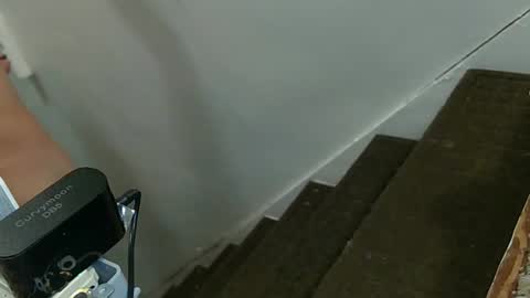 funtimes49203 online show from 21, 10, 2025