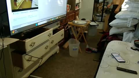 funtimes49203 online show from 13, 11, 2025