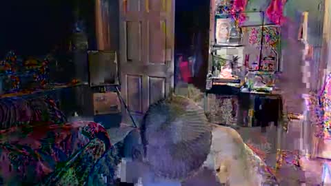 Jade online show from 16, 2, 2026