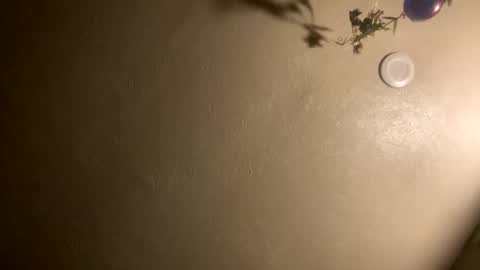 Jason online show from 7, 1, 2026