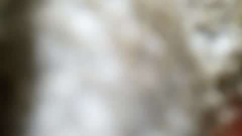 Snapshot of jaimescook chatting on 20, 6, 2026 james online show from 20, 6, 2026