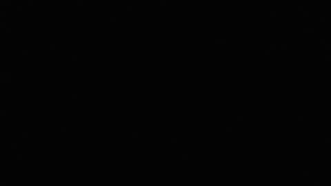 Jamaica online show from 5, 11, 2025