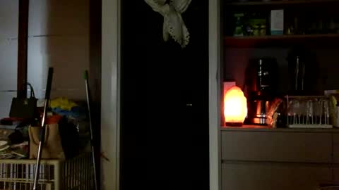 Snapshot of jamesmo820913 chatting on 25, 10, 2025 jamesmo820913 online show from 25, 10, 2025