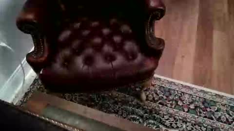 Snapshot of jamespembroke chatting on 17, 9, 2025 James Pembroke at your service online show from 17, 9, 2025