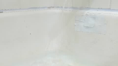Snapshot of jamwarnerone chatting on 4, 8, 2026 Bootyshows online show from 4, 8, 2026