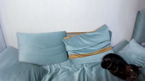 Jane online show from 25, 1, 2025