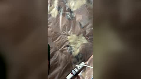 jaxsona online show from 18, 4, 2026