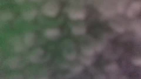 Snapshot of jaxxxdaniels chatting on 13, 12, 2024 Jaxxx Daniels online show from 13, 12, 2024