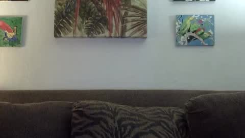 jay-jay1475 online show from 22, 1, 2025