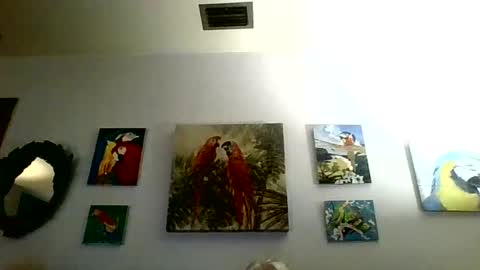 jay-jay1475 online show from 31, 1, 2025