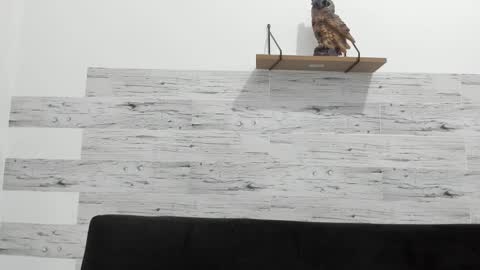 Jaycreedd online show from 11, 2, 2025