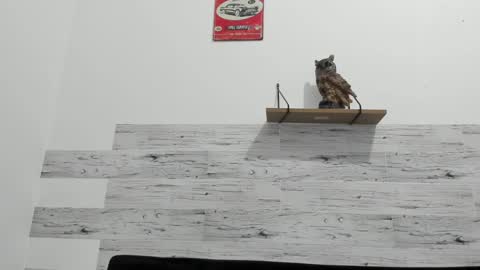 Jaycreedd online show from 22, 2, 2025