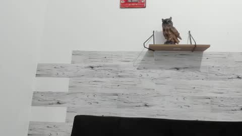 Jaycreedd online show from 26, 9, 2025